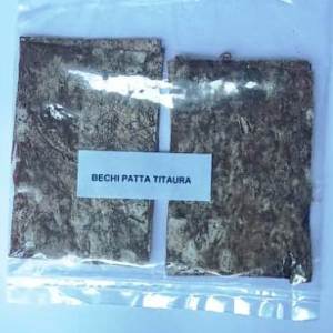 bechi patta titauras